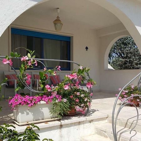 Vila Casa Maresole Mattinata Exteriér fotografie