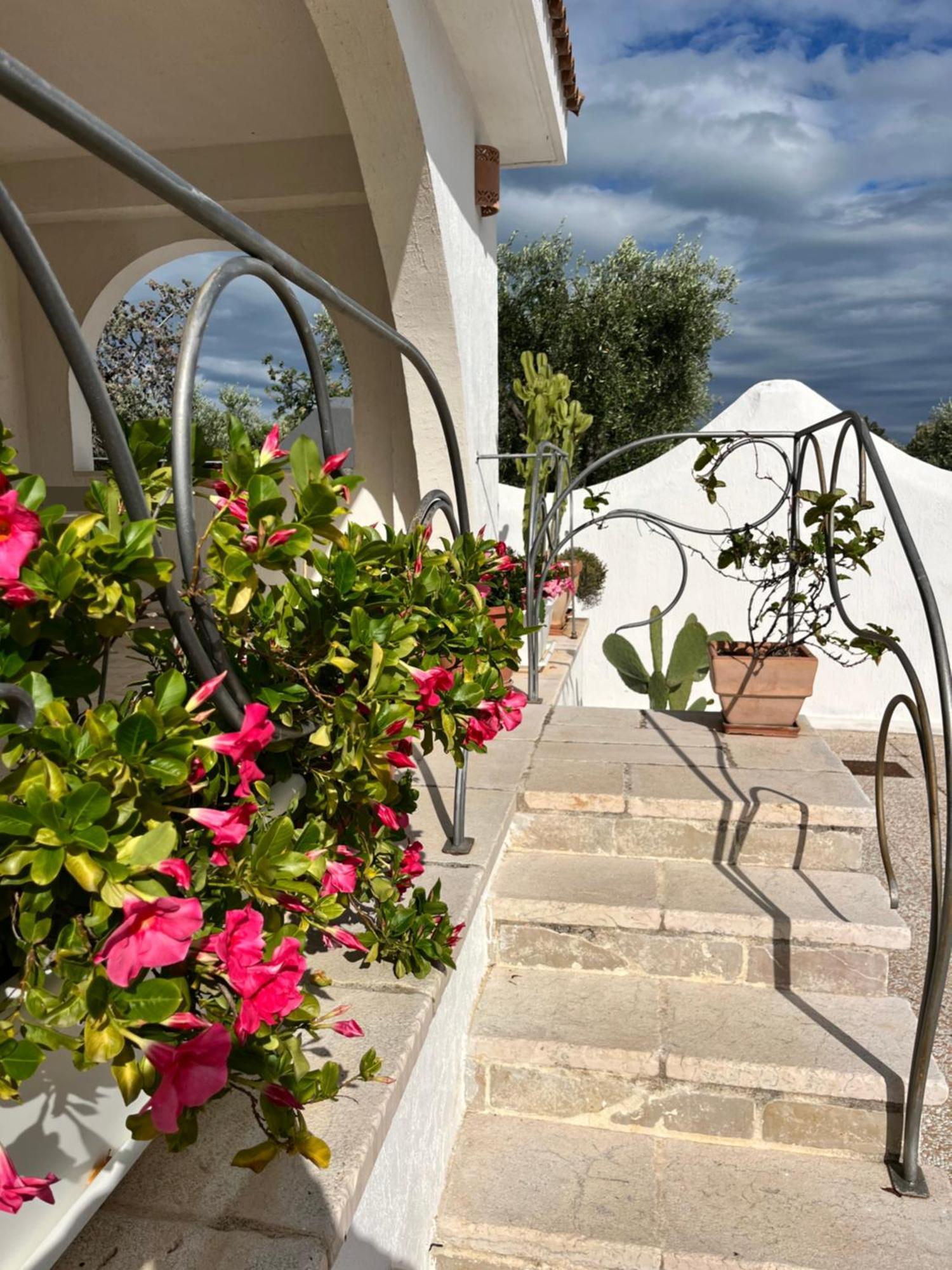 Vila Casa Maresole Mattinata Exteriér fotografie