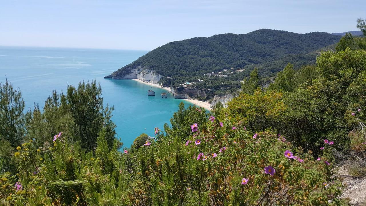 Vila Casa Maresole Mattinata Exteriér fotografie